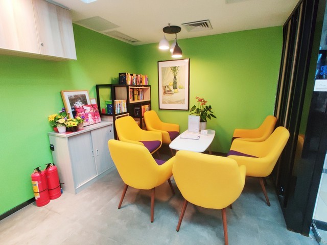 广东进口CeYAG晶体哪家好