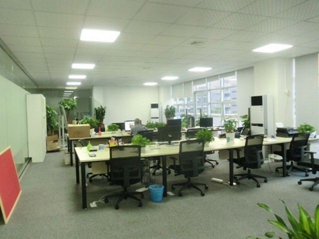 珠海给煤机厂家供应