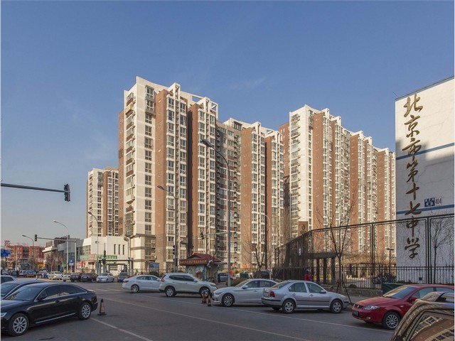 仿生复合瓷美牙伴侣成本